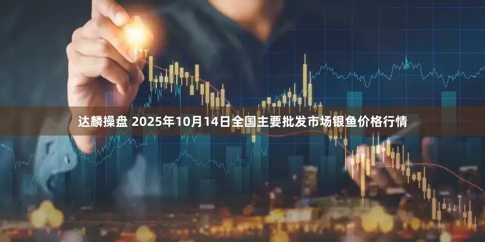达麟操盘 2025年10月14日全国主要批发市场银鱼价格行情