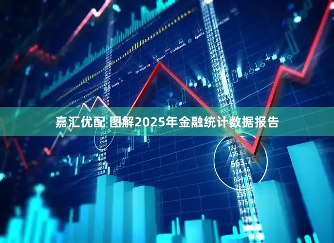 嘉汇优配 图解2025年金融统计数据报告