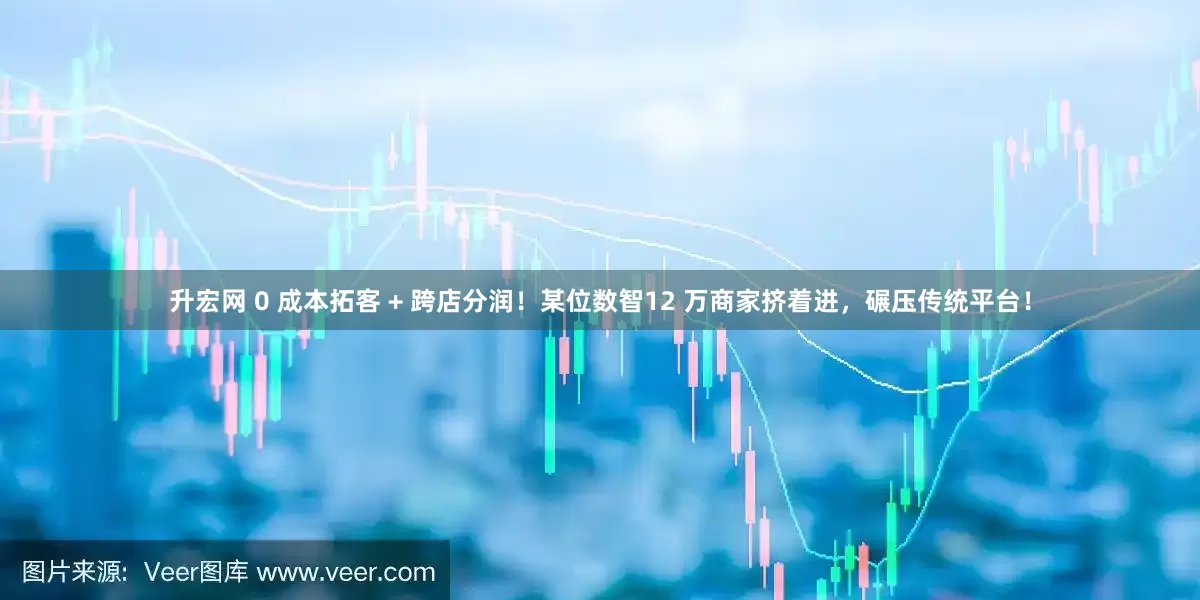 升宏网 0 成本拓客 + 跨店分润！某位数智12 万商家挤着进，碾压传统平台！